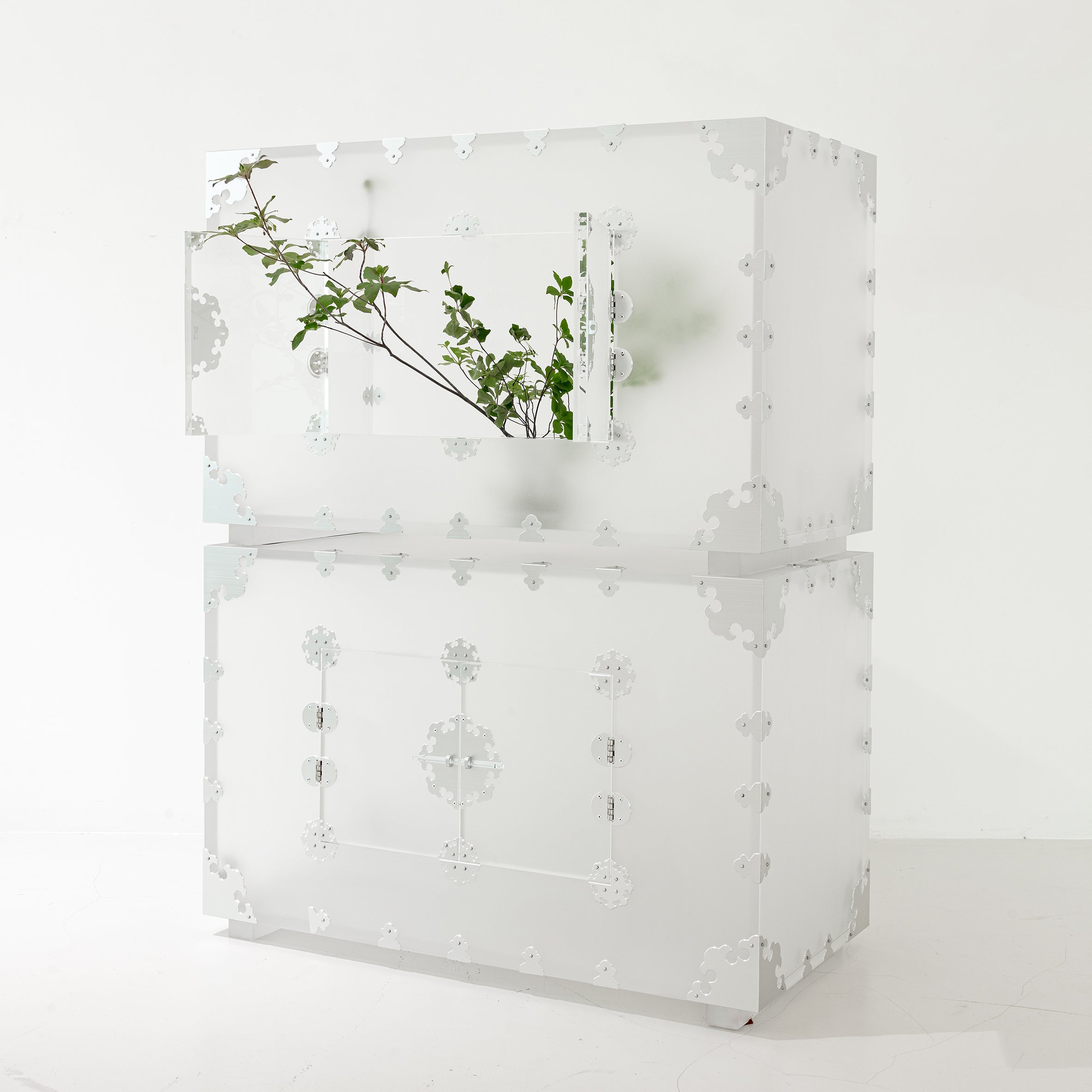 WHITE NOSTALGIA - NONG