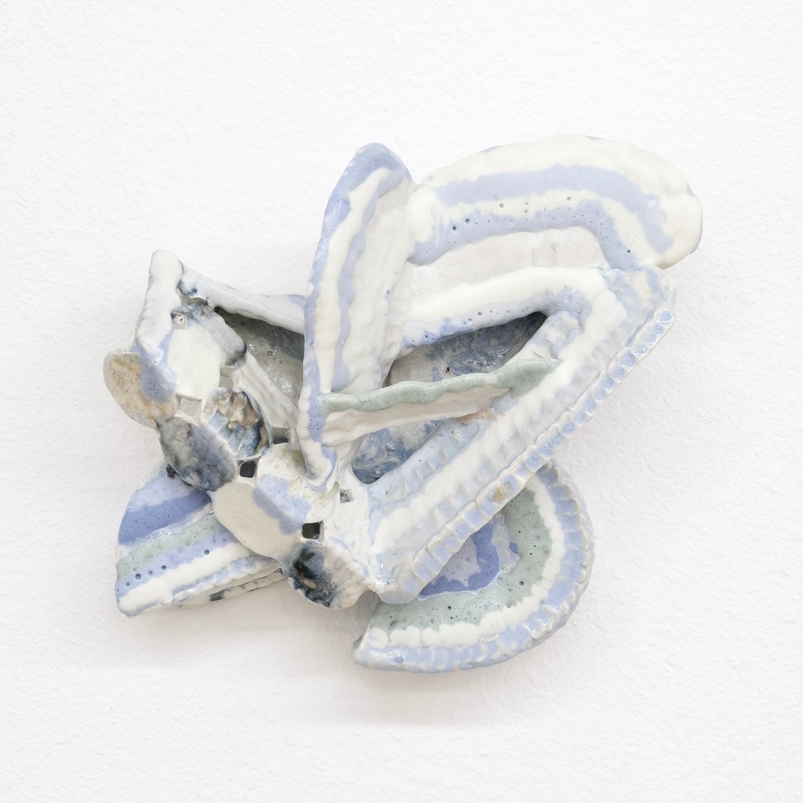 Wall Flower (Blue)